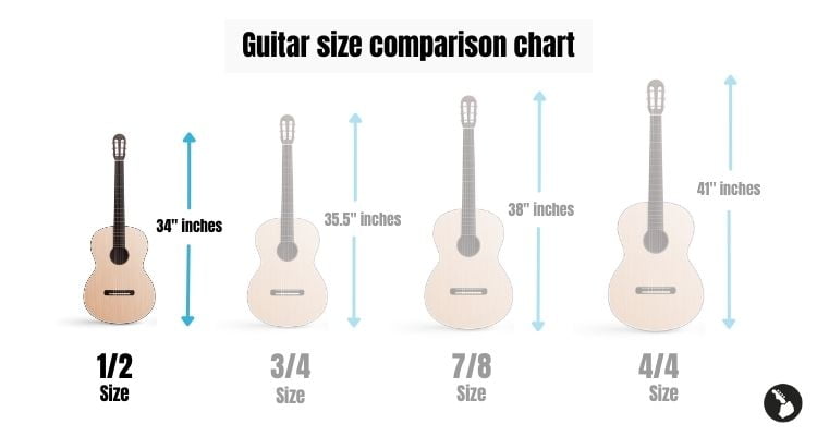 1:2 size guitar - Guitar size comparison chart - Infographic
