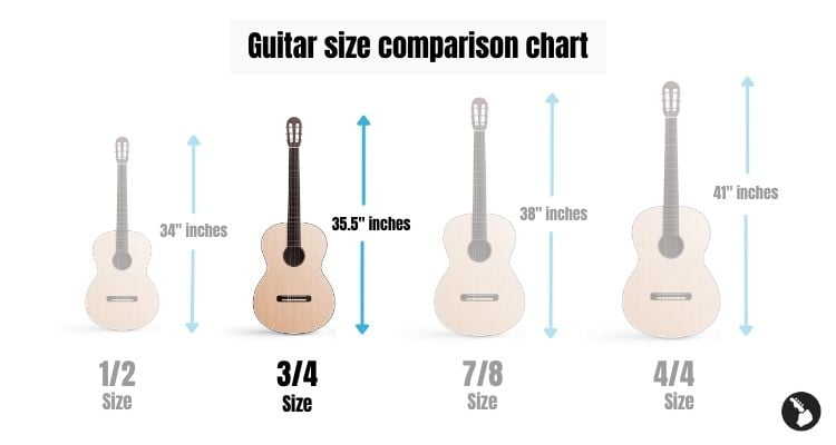 3:4 size guitar - Guitar size comparison chart - Infographic
