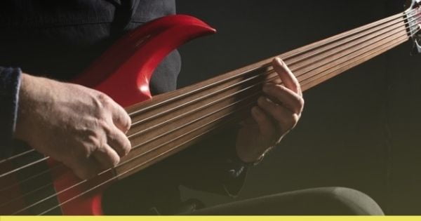 best fretless bass guitars - blog cover