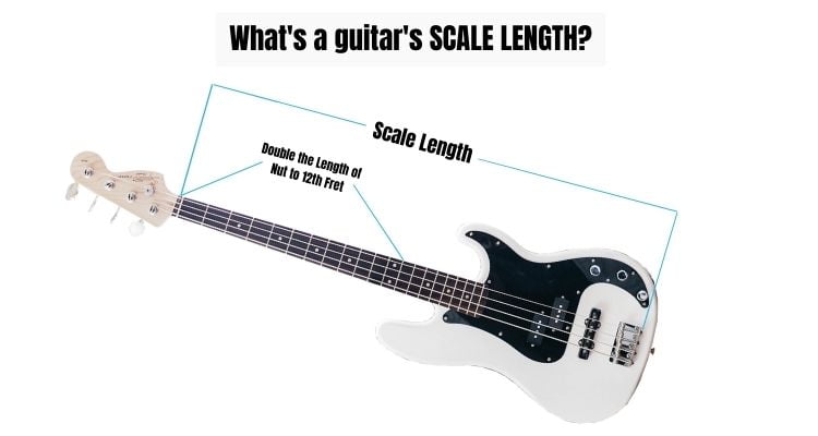 What is a guitar's scale length? - Infographic blog