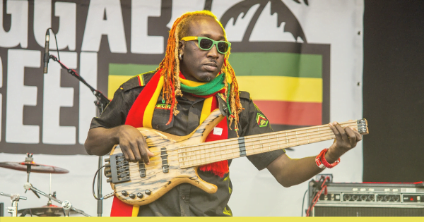 best reggae bass guitars - blog cover