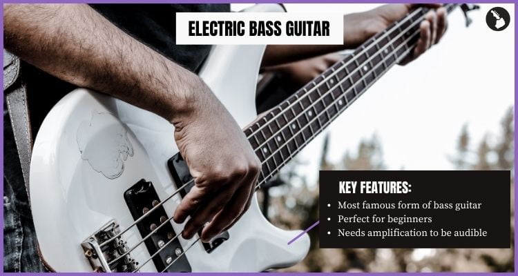 Electric bass guitar - Key Features - Types of bass guitars infographic