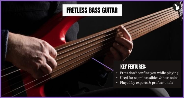 Fretless bass guitar - - Key Features - Types of bass guitars infographics