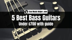 05 Best Bass Guitars Under 700 Dollars with Buyer's Guide