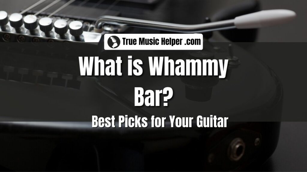 What Is Whammy Bar Best 6 Whammy Bars For Your Guitar 1