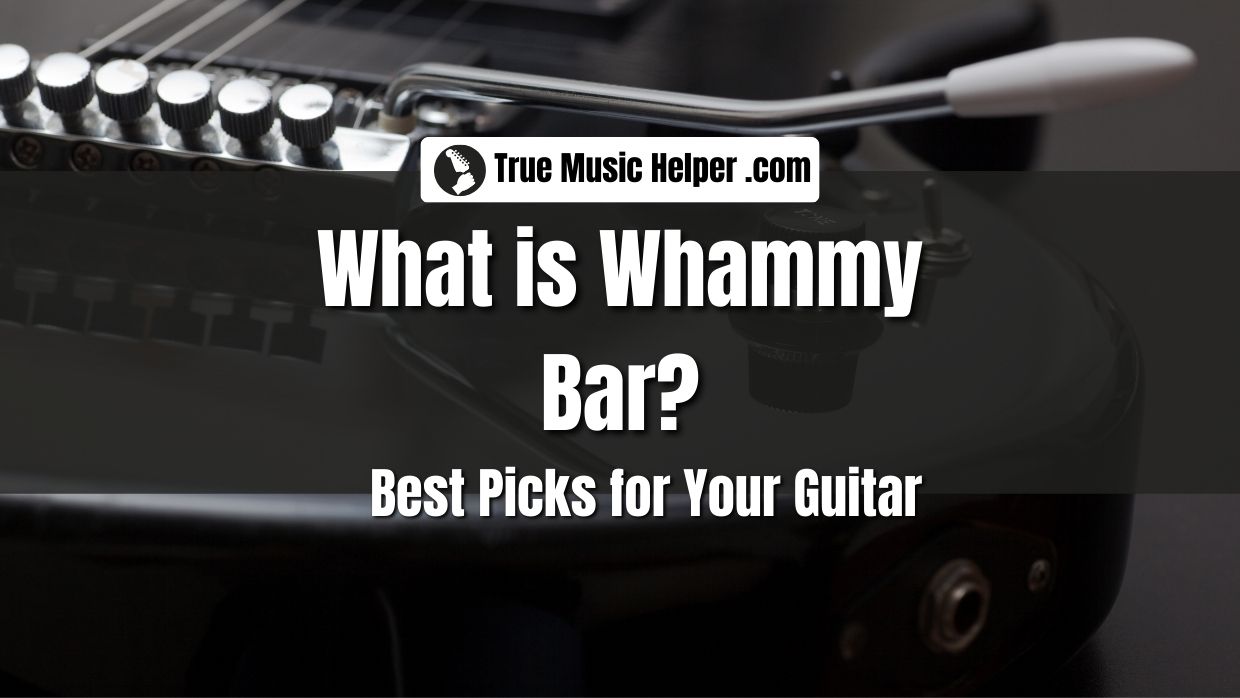What Is Whammy Bar? Best 6 Whammy Bars For Your Guitar! True Music Helper