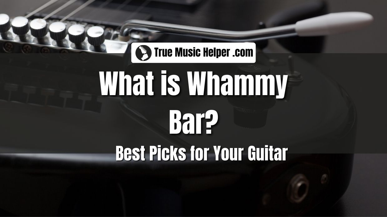 What Is Whammy Bar Best 6 Whammy Bars For Your Guitar!